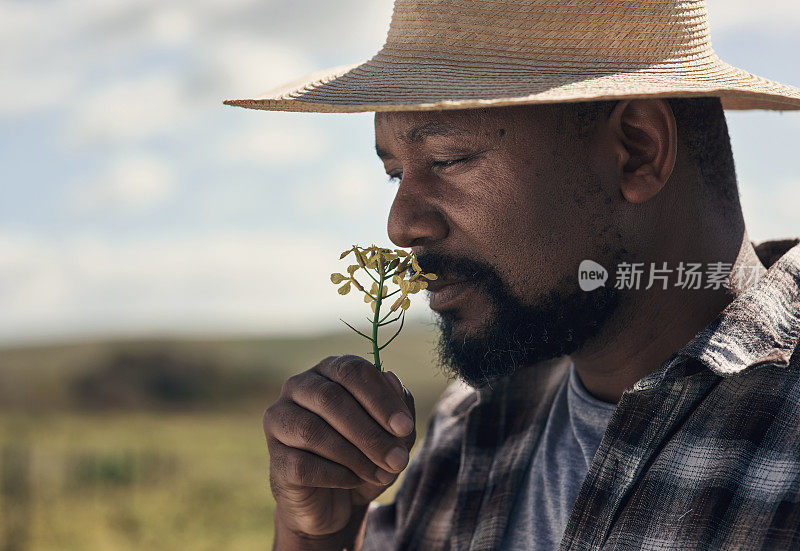 事实证明，幸福确实有一种气味