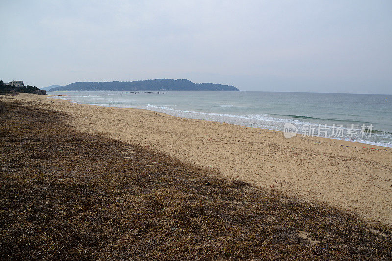 日本福冈市命野上道海滨公园