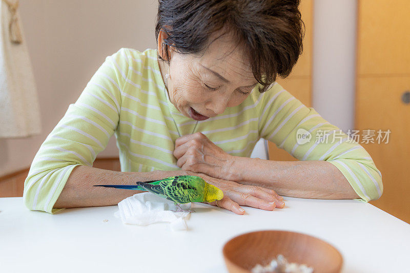 老女人和宠物鸟玩