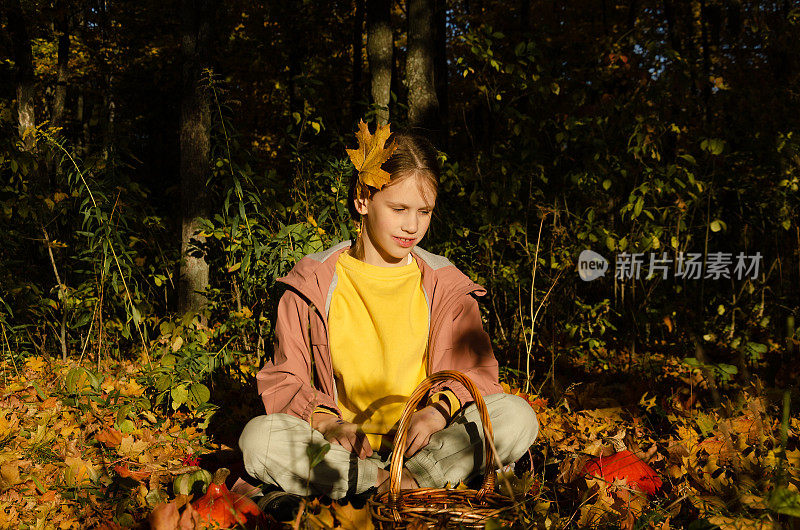小女孩穿着黄色的运动衫和满是灰尘的淡紫色外套，坐在秋天的森林里，把黄叶扎在她的辫子上。