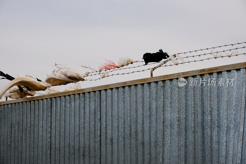 垃圾场周围的栅栏，有刺的铁丝和上面的碎片在风中摇摆。