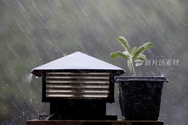 雨，雨，走开