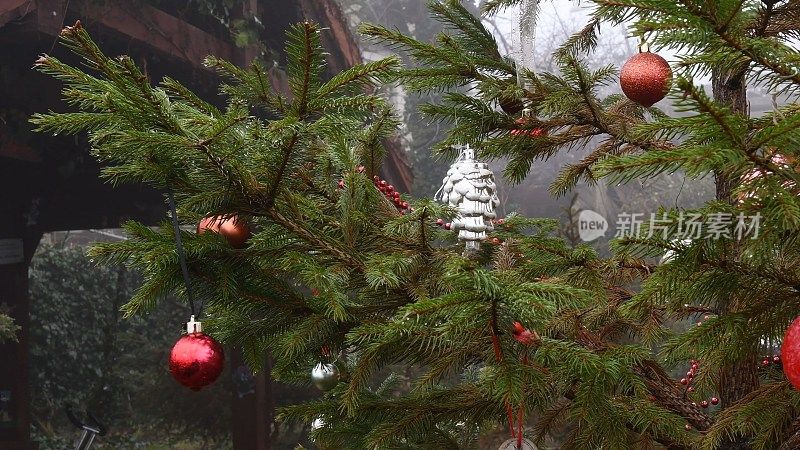 圣诞装饰品挂在冷杉树上，随风摇曳