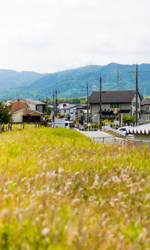 乡间一条安静的道路