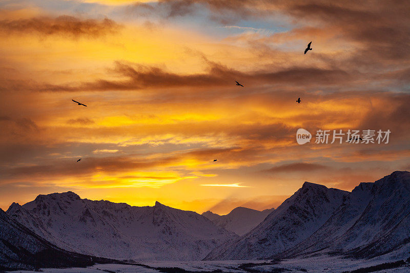 黎明时分，从risoysund眺望东南方向的挪威雪山