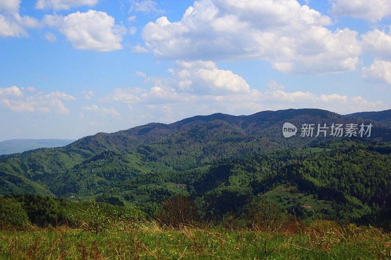 五月的山景。Beskid,波兰。