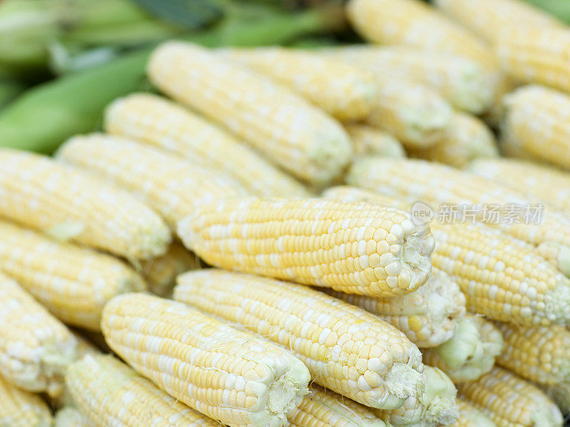 农贸市场上的新鲜有机甜玉米