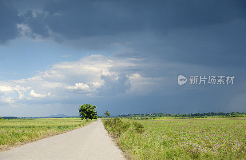 景观与树木，道路和阴沉的天空