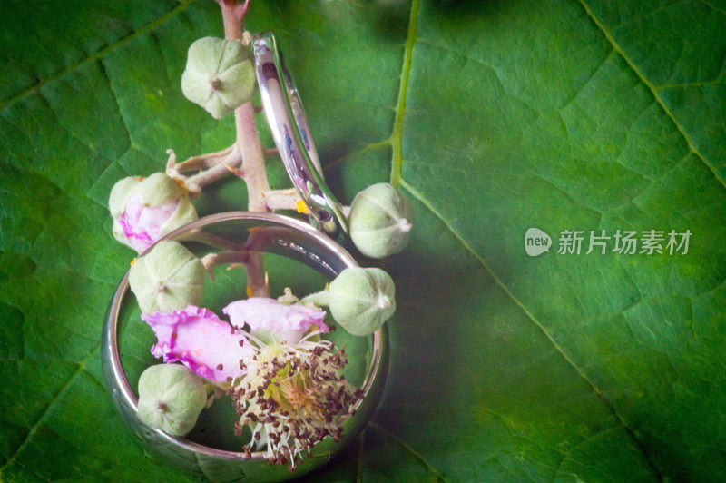 结婚戒指在黑莓芽