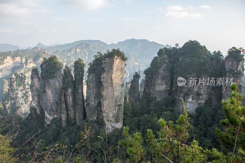 砂岩柱，张家界国家森林公园，中国