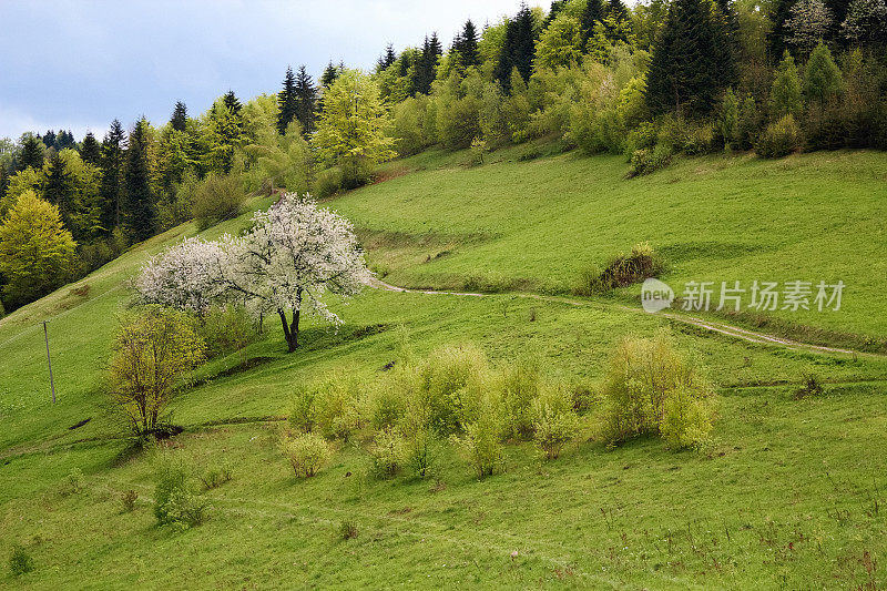 就在山雨过后。Beskid,波兰。