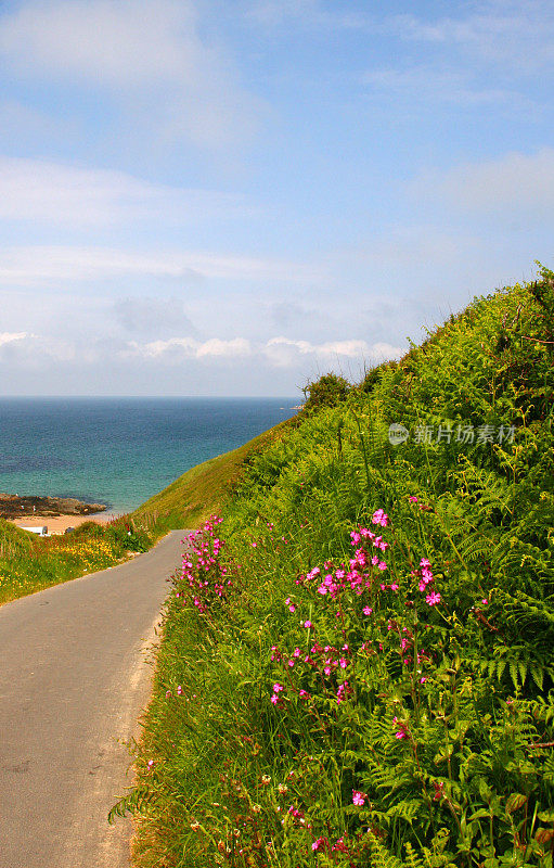 乡间小路，海景和树篱