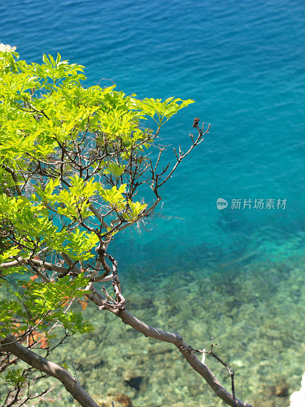 风景优美的亚得里亚海海岸线