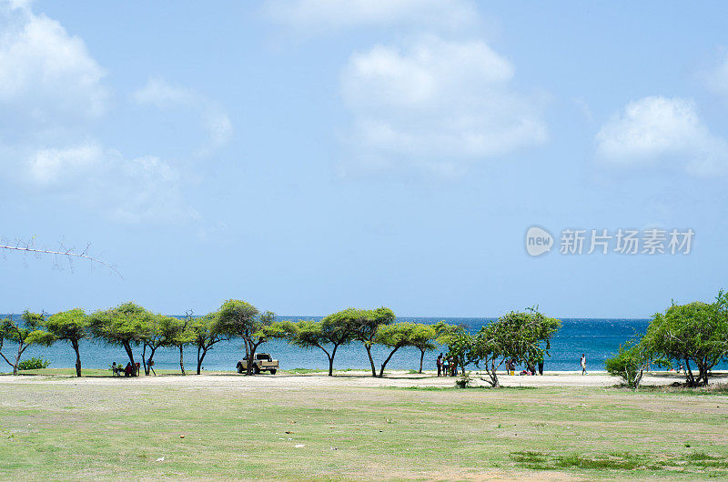 美丽宁静的海滩，树木成行