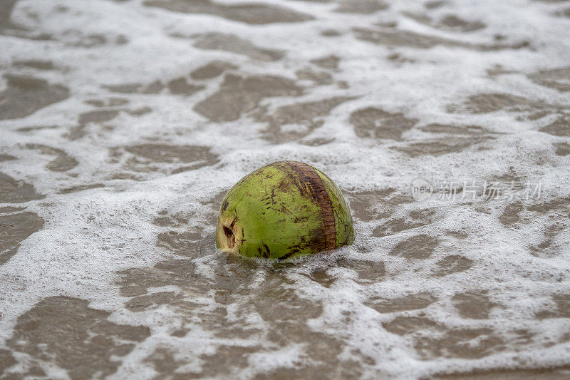 椰子在海滩