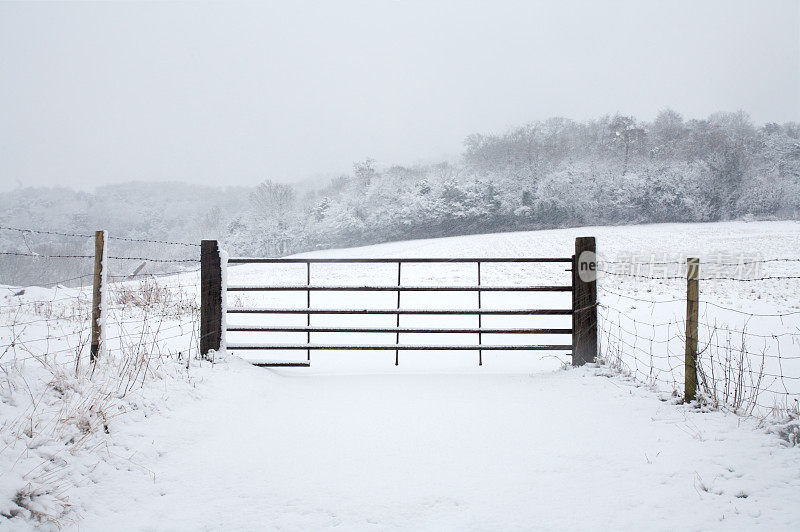 通往一片雪地的大门