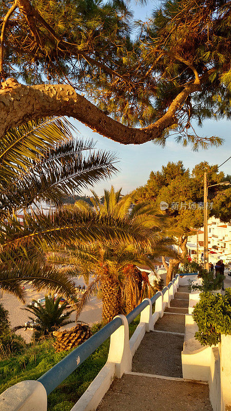 树荫下的人行道俯瞰阿尔加维海岸步道，葡萄牙的拉戈阿