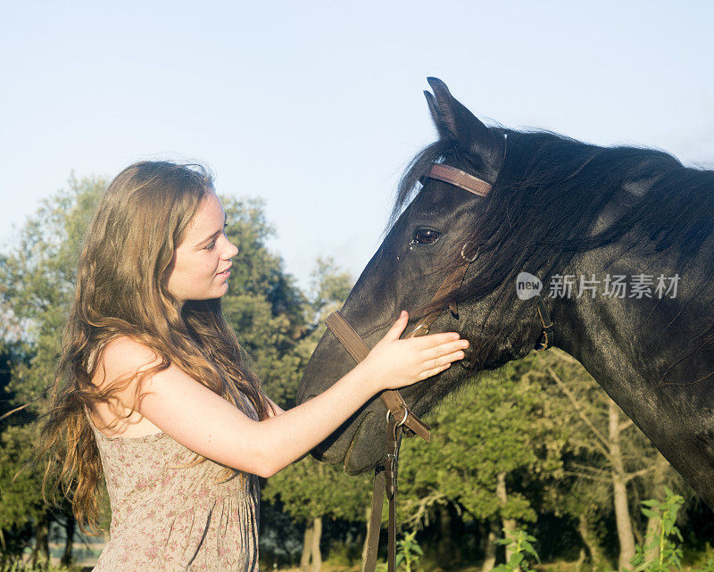 一个年轻女子爱抚着一匹马
