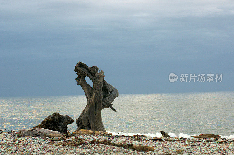 木头躺在岸边