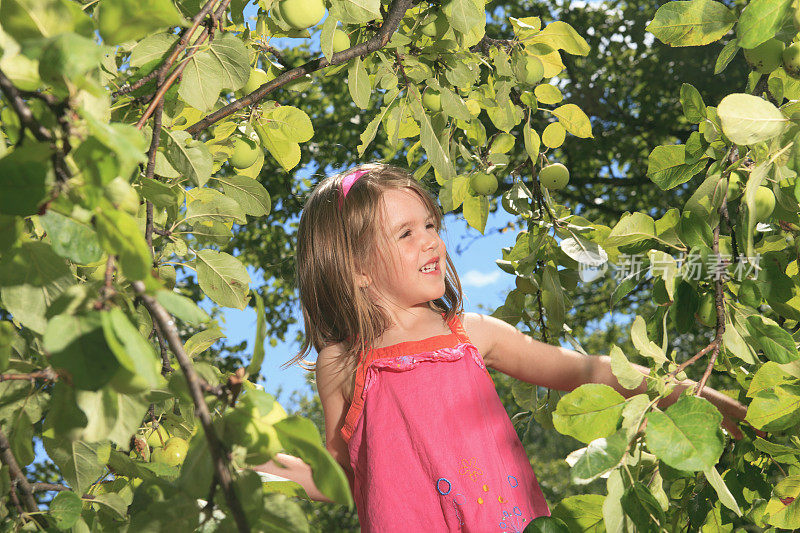 苹果树下的小女孩