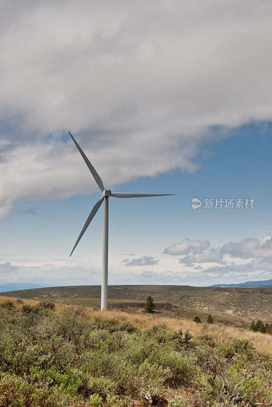 华盛顿东部丘陵地带的风力涡轮机
