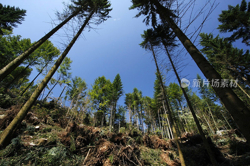 暴风雨过后,