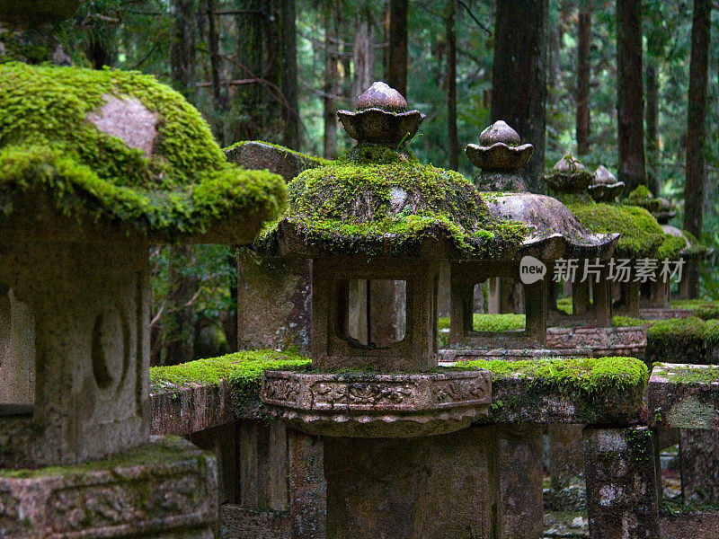 高野山的苔藓覆盖石灯笼