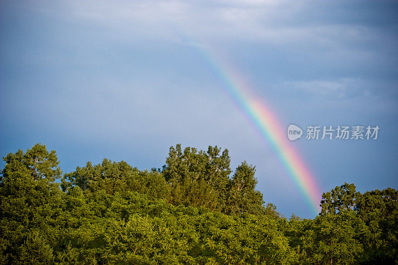 风雨后的彩虹