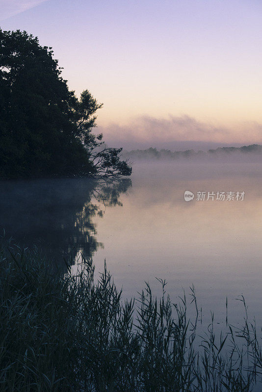 有雾的早晨，埃尔德，Müritz，梅克伦堡Vorpommern