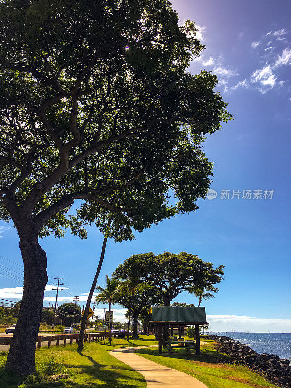 毛伊岛海滩木板路，夏威夷，美国
