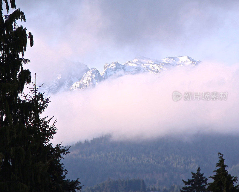 躲猫猫看奥林匹克山