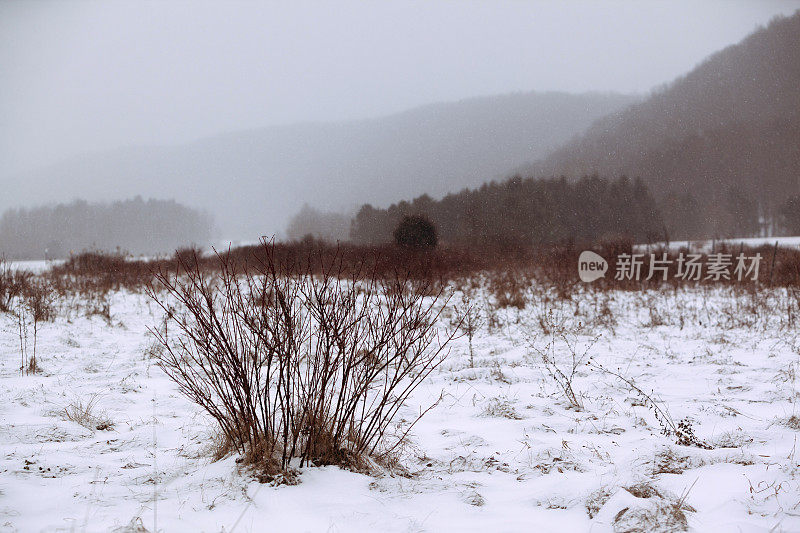 暴风雪在山