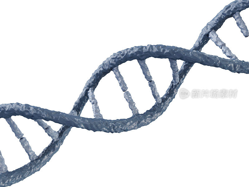 从白色背景上分离出的DNA