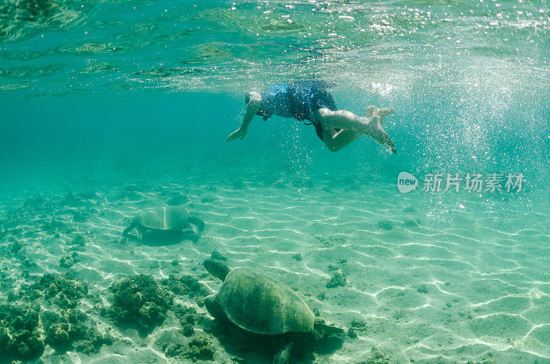 一个男孩在夏威夷游过海龟