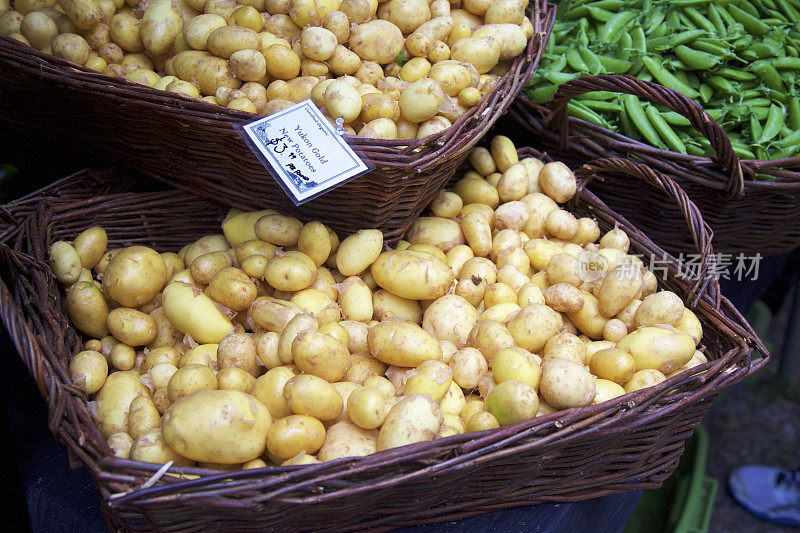 农贸市场上的红金色新土豆
