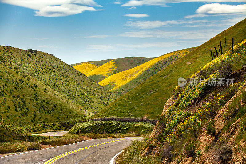 Carrisa高速公路穿过鲜花覆盖的山丘到Carrizo平原。