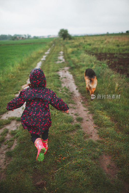 小女孩在田野里和狗玩耍