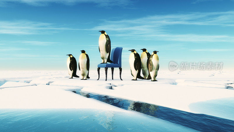 企鹅首领坐在椅子上