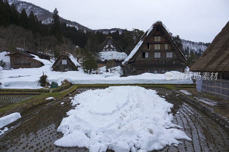 日本岐阜县白川乡村,