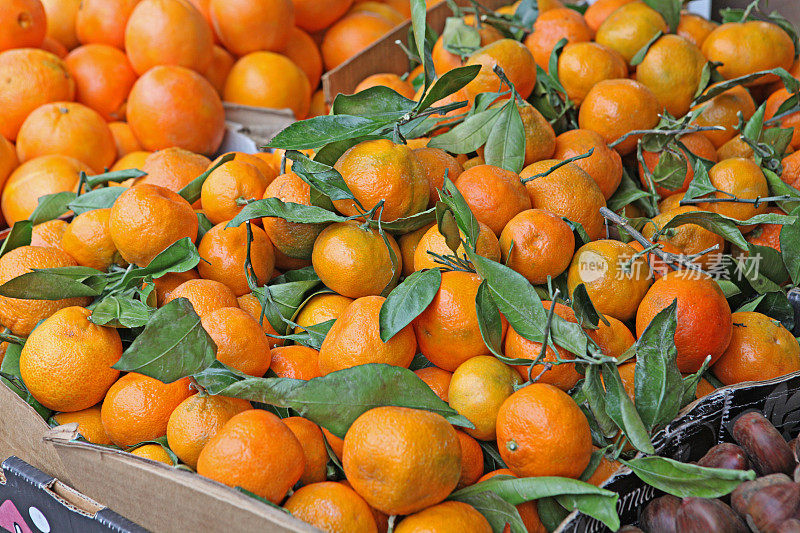 柑橘销售