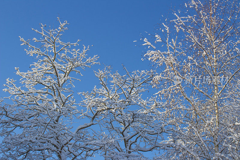 什罗浦郡雪场景