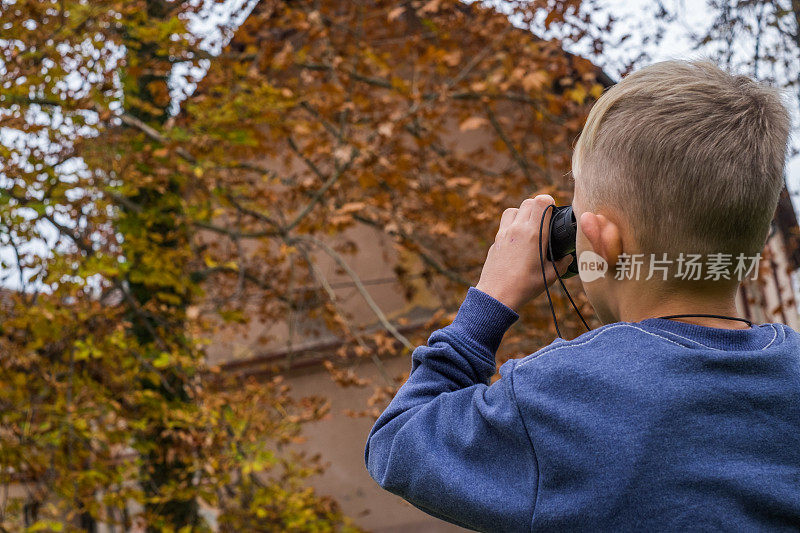 男孩用双筒望远镜搜寻松鼠