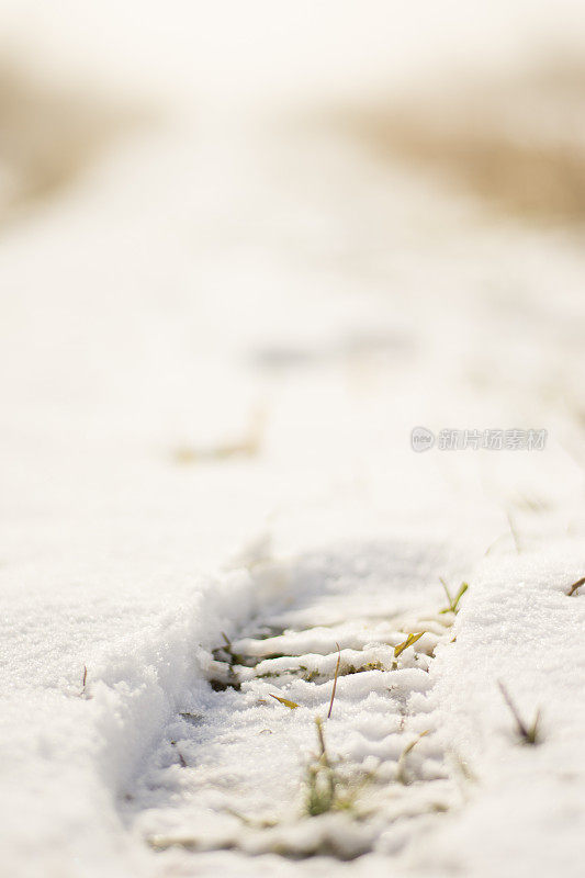 雪地上的脚印