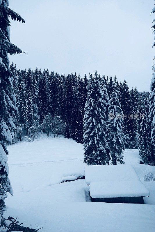 在欧洲阿尔卑斯山脉，冰雪覆盖的冬季景观和森林