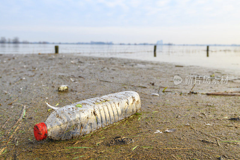 IJssel河溢流区洪水过后的塑料垃圾