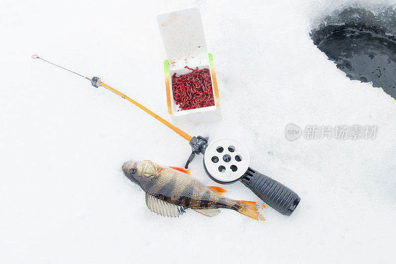 用冬季鱼竿钓淡水鱼。Catchability诱饵。