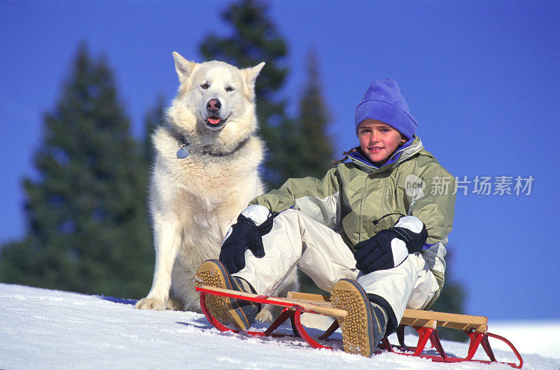 和狗在雪橇上的女孩