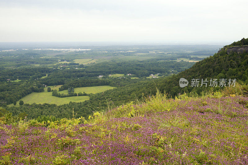 撒切尔州立公园的夏日风景