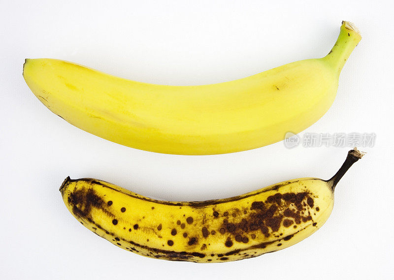 香蕉的对比