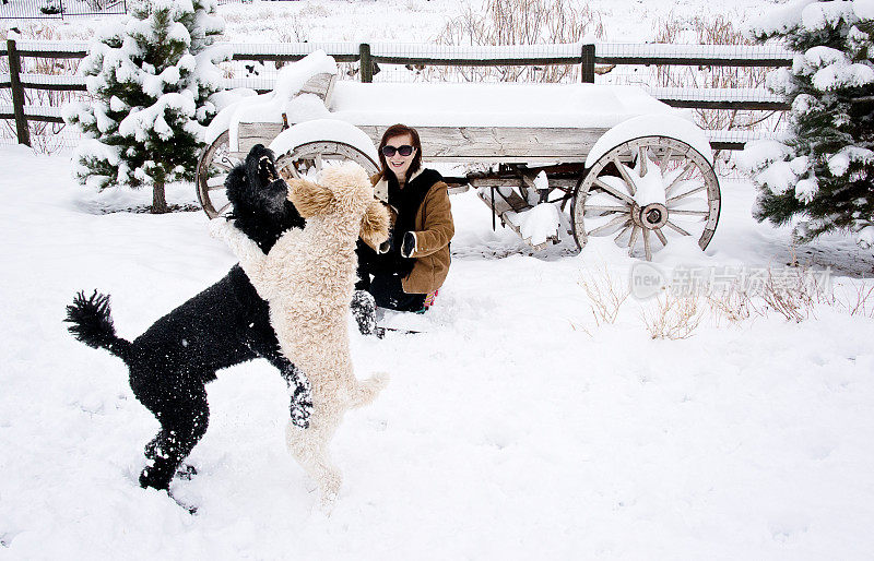 快乐的女人和狗在雪地上玩